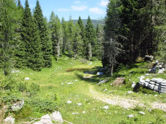 La strada verso malga Zingarella