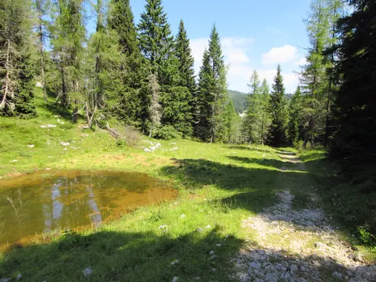 La strada verso malga Zingarella