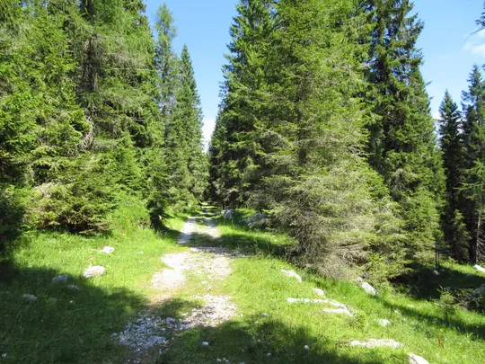 Dettaglio della strada