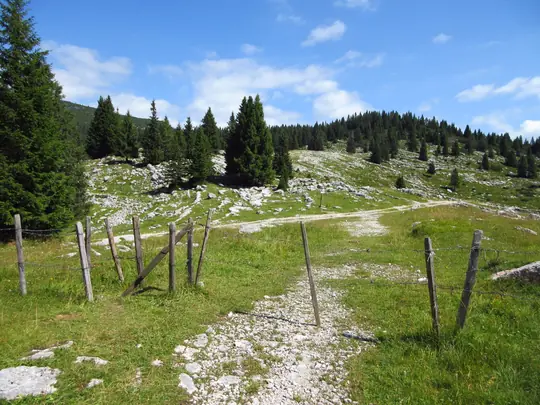 Incrocio nei pressi della malga, proseguire a sinistra