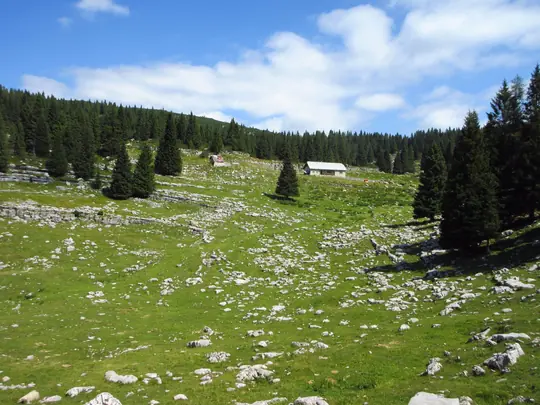 Panorama sulla malga