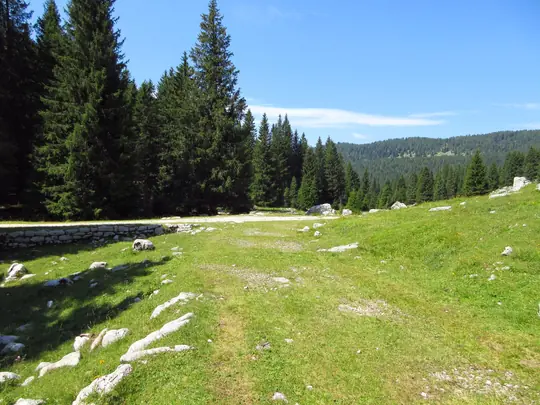 Ricongiungimento alla strada principale