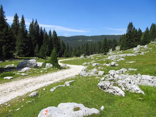 Dettaglio della strada di ritorno