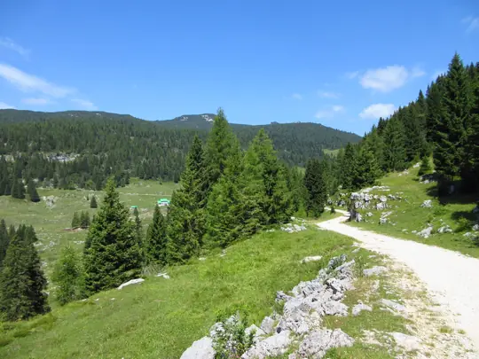 Verso malga Galmarara