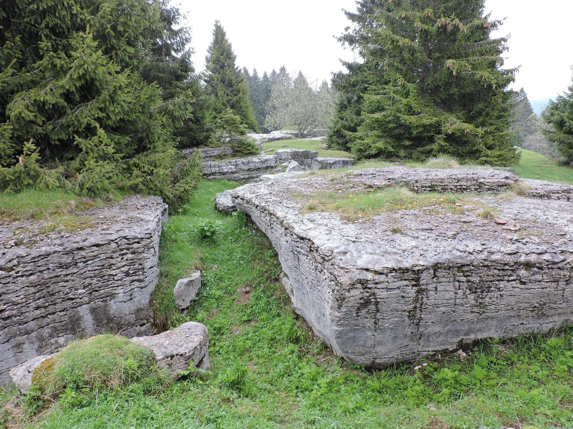 Granezza - Cima del Porco - Monte Raitertal