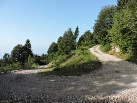 Dettaglio del percorso