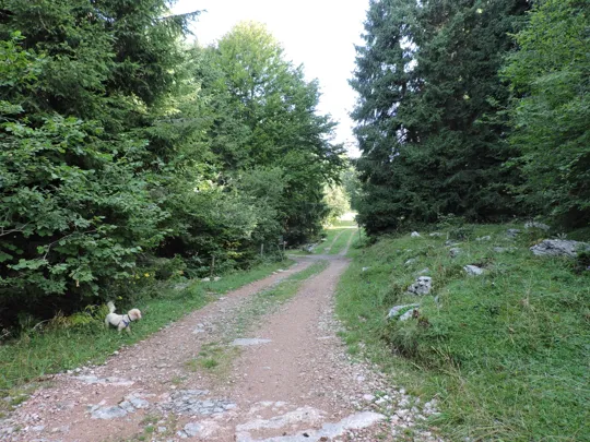 Dettaglio del percorso