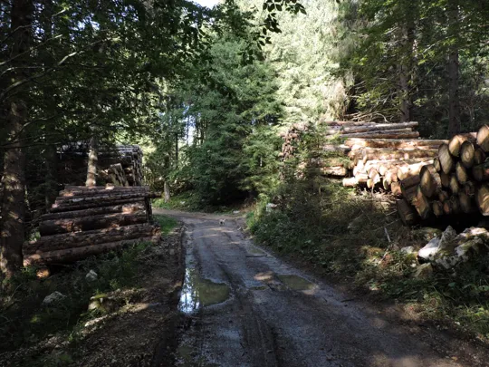 Dettaglio del percorso