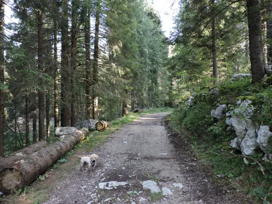 Dettaglio del percorso