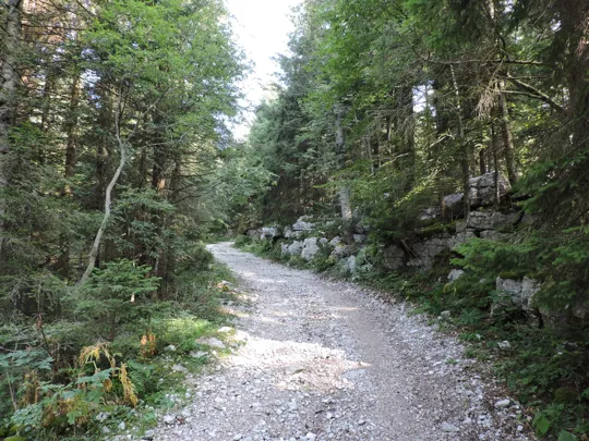 Dettaglio del percorso