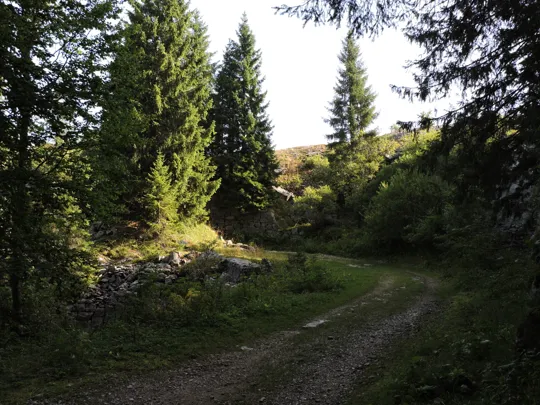 Dettaglio del percorso