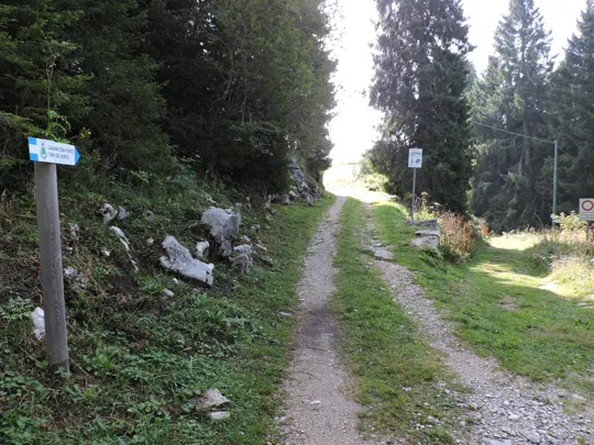 Verso malga Cima Fonte