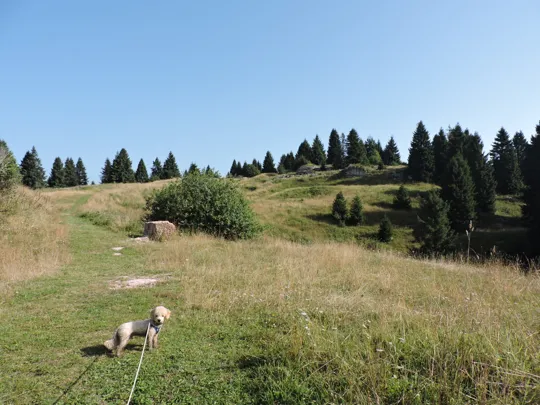 Verso Cima del Porco