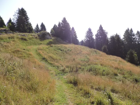 Sentiero sotto la cima