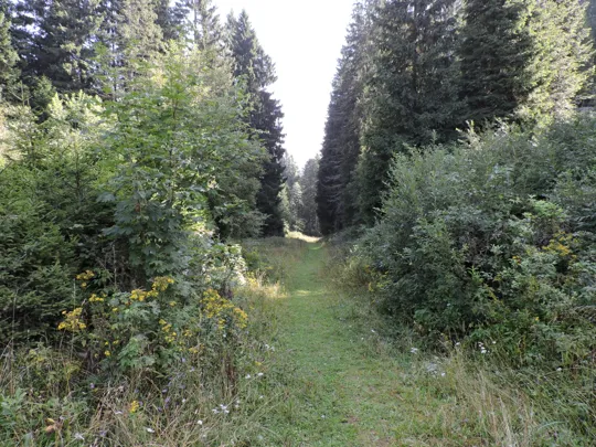 Percorso dopo la ex cava