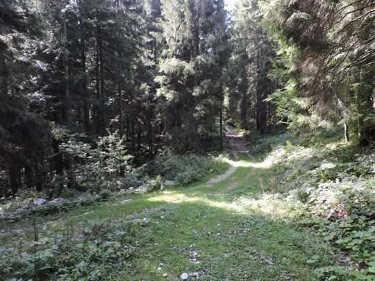 Incrocio, si prosegue a sinistra