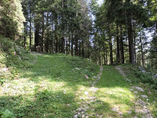 Lo stesso incrocio, da più in basso. Veniamo da sinistra e si prosegue a destra.