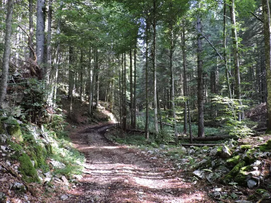 Dettaglio del percorso