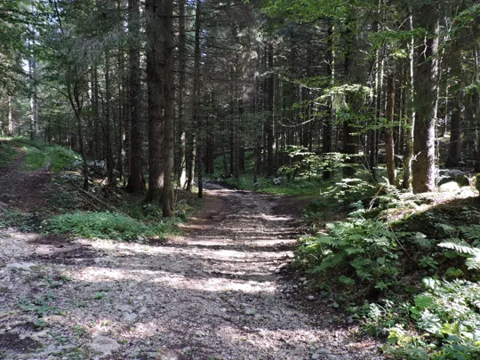 Dettaglio del percorso, si prosegue in discesa a destra.