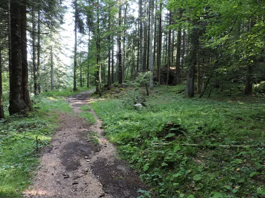 Dettaglio del percorso