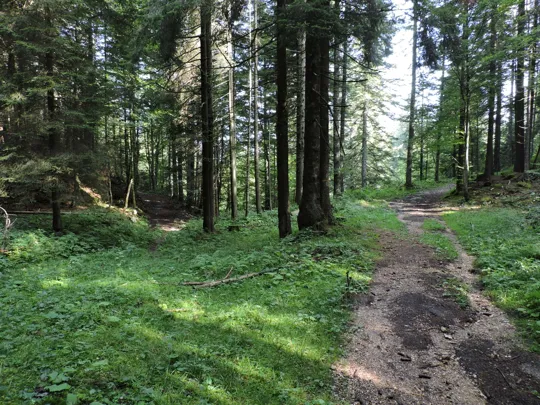 Si prosegue a destra