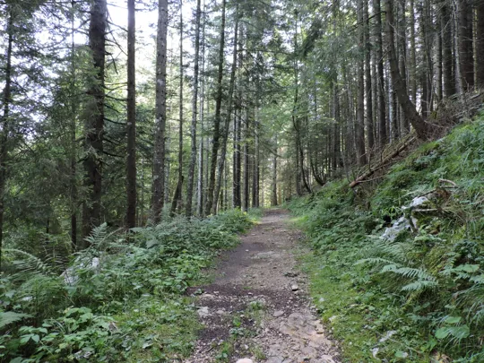 Dettaglio del percorso