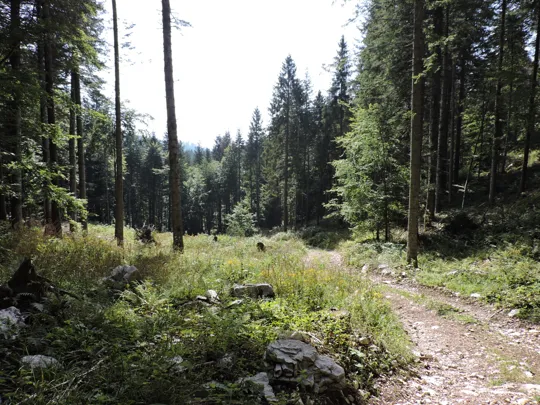 Dettaglio del percorso