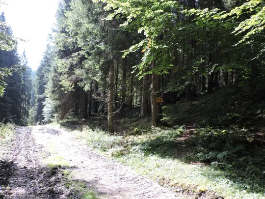 Indicazione da non seguire