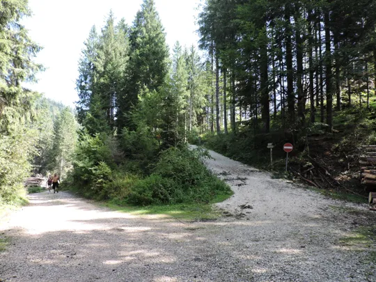 Incrocio per le trincee