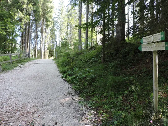 Indicazioni per le trincee