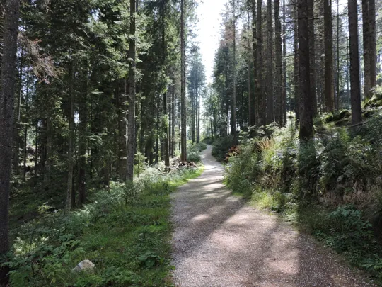 Dettaglio del percorso