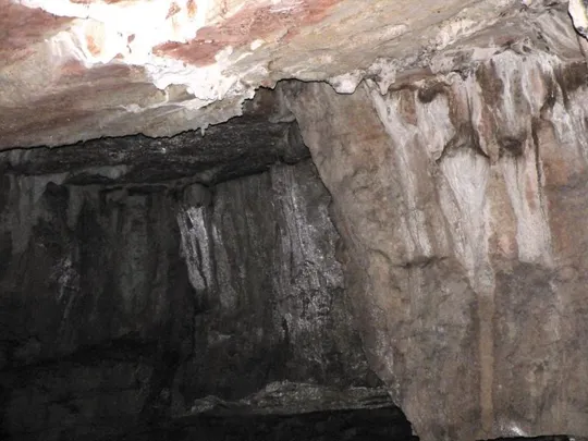 Grotta dell'elefante - Volta