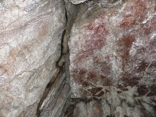 Grotta dell'elefante - Conformazioni