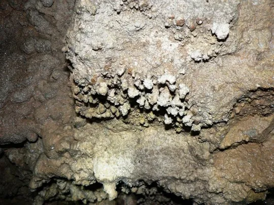 Grotta dell'elefante - Conformazioni calcaree