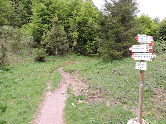 Cima Mosca - Passo delle Buse Scure