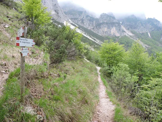 Gruppo del Carega - Cima Mosca