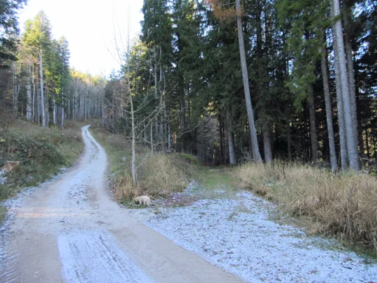 Proseguire sulla strada di destra