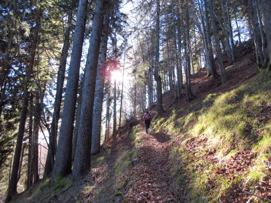 Dettaglio del sentiero