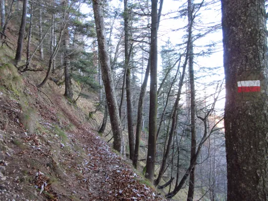 Sentiero in costa alla valle