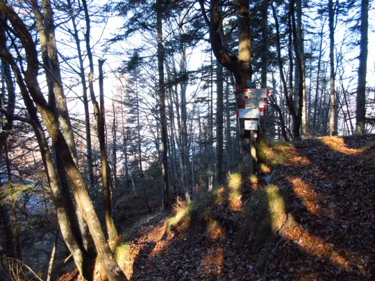 Indicazioni per il Belvedere Belem