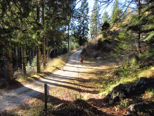 La strada verso la baita