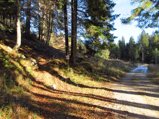 Il sentiero verso la cima di ritorno dalla baita