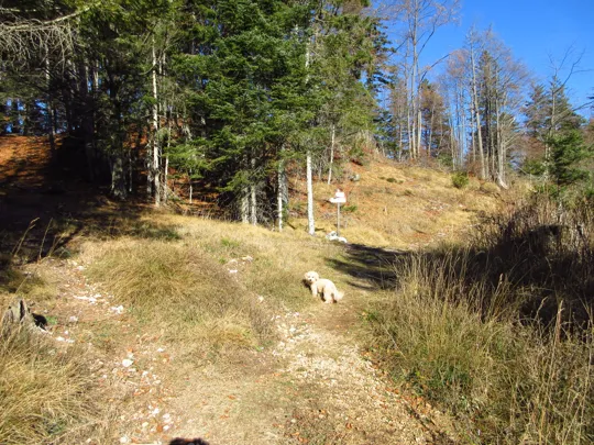 Indicazioni per il monte Cimone