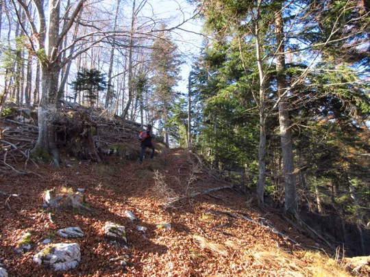 Dettaglio del sentiero