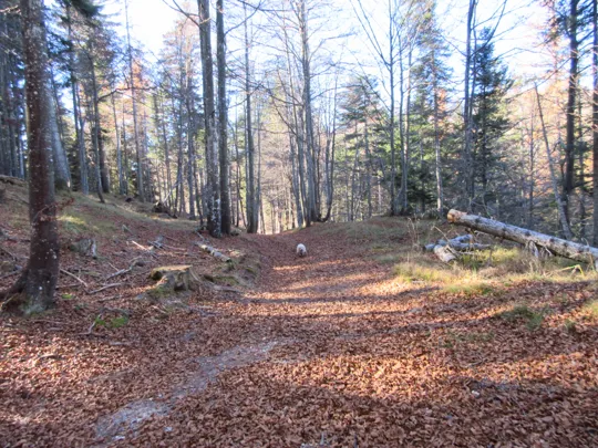 Dettaglio del percorso