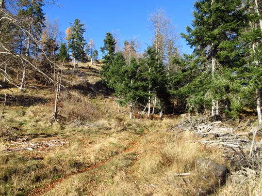 Dettaglio del percorso