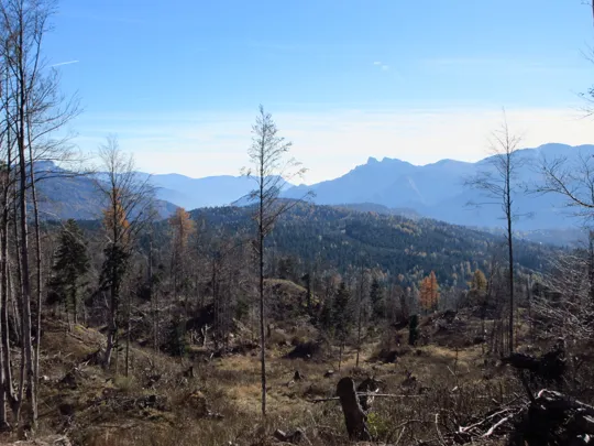 Panorama dal Monte Cimone