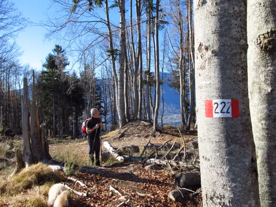 Dettaglio del sentiero