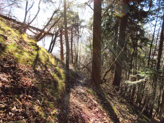 Dettaglio del sentiero