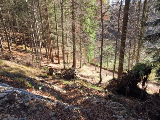 In vista della strada